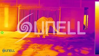 Sunell Thermalカメラ-象のダンス