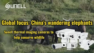 野生生物の保護を支援するSunellサーマルイメージングカメラ